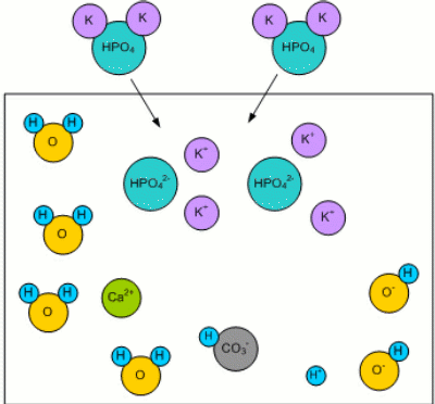 Water chem malt.gif