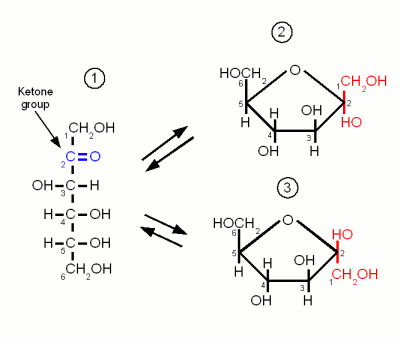 d fructofuranose