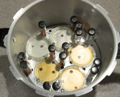 Plates pressure canner.jpg