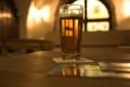 BreweryWippra Pilsner.jpg