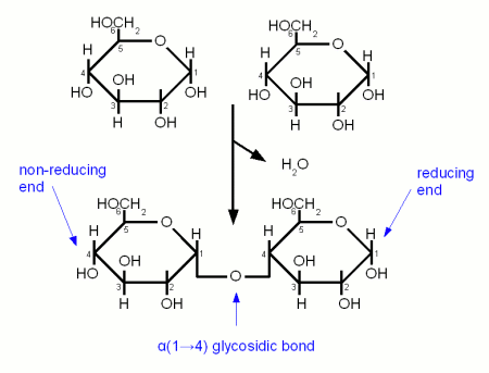 Biochemistry What Is The Difference Between A Glycosidic