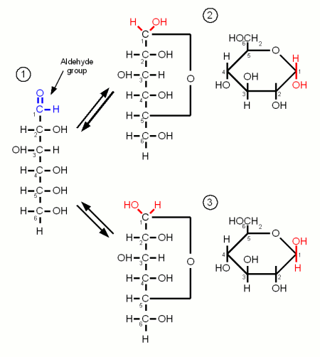 Glucose.gif