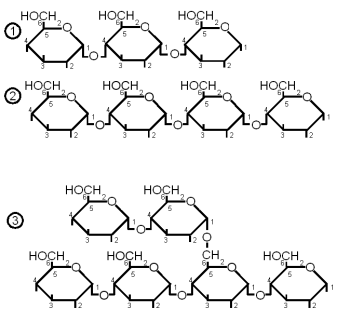 Oligosaccharides.gif